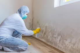 Best Forensic Mold Investigation  in Downs, IL